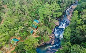 The Rainforest Hideaway
